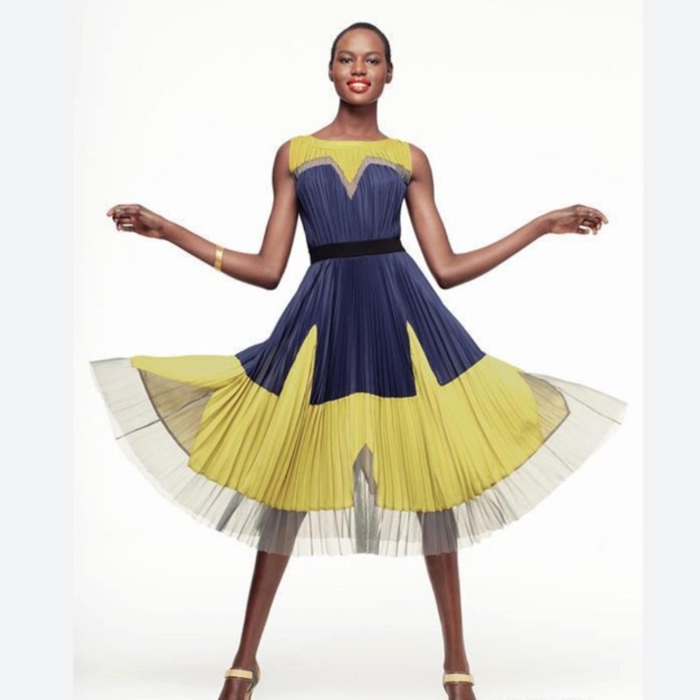 NEW BCBG MaxAzria Lucea Colorblock Pleated Dress Size 6
